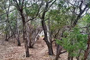 1332 Johnson Rd, Canyon Lake, TX 78133 - Photo 36