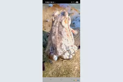 1332 Johnson Road, Canyon Lake, TX 78133 - Photo 40