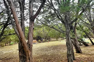 1332 Johnson Rd, Canyon Lake, TX 78133 - Photo 28