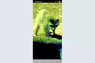 1332 Johnson Road, Canyon Lake, TX 78133 - Photo 38