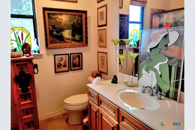 1332 Johnson Road, Canyon Lake, TX 78133 - Photo 20