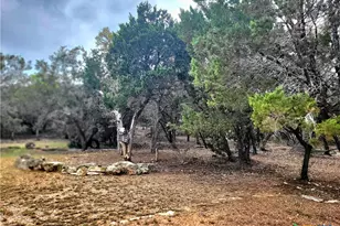 1332 Johnson Rd, Canyon Lake, TX 78133 - Photo 24