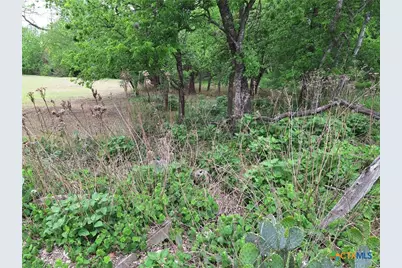 474 N Guenther Avenue, New Braunfels, TX 78130 - Photo 12