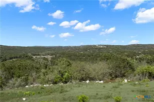 1585 Private Rd 2771, Mico, TX 78056 - Photo 34