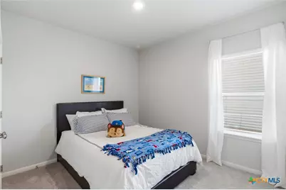 149 Cutleaf Cove #31, San Marcos, TX 78666 - Photo 16