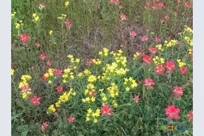 920 Mills Way, Seguin, TX 78155 - Photo 4