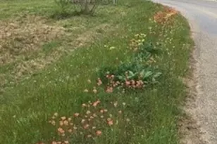 920 Mills Way, Seguin, TX 78155 - Photo 2