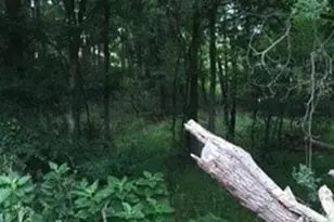 920 Mills Way, Seguin, TX 78155 - Photo 1