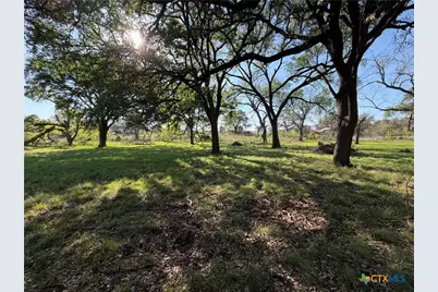 118 Guadalupe Drive, Oglesby, TX 76561 - Photo 1