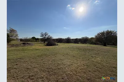 118 Guadalupe Drive, Oglesby, TX 76561 - Photo 10