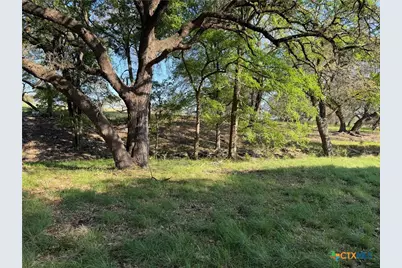 118 Guadalupe Drive, Oglesby, TX 76561 - Photo 2