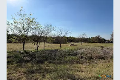 118 Guadalupe Drive, Oglesby, TX 76561 - Photo 6