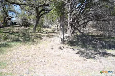 1361 Hidden Valley Drive, Spring Branch, TX 78070 - Photo 2