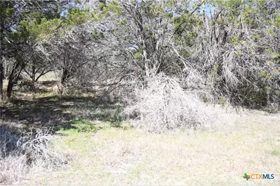 1361 Hidden Valley Drive, Spring Branch, TX 78070 - Photo 10