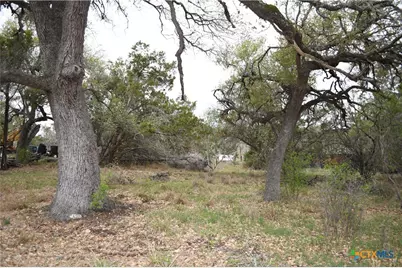 1361 Hidden Valley Drive, Spring Branch, TX 78070 - Photo 6