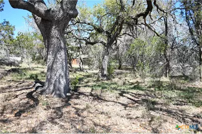 1361 Hidden Valley Drive, Spring Branch, TX 78070 - Photo 4