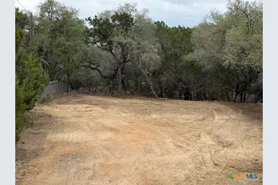 1456 Songbird Drive, Canyon Lake, TX 78133 - Photo 2