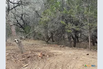 1456 Songbird Drive, Canyon Lake, TX 78133 - Photo 6