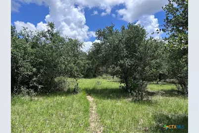 1022 County Road 438, Yoakum, TX 77995 - Photo 16