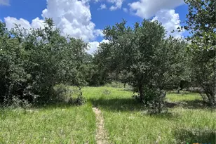 1022 County Rd 438, Yoakum, TX 77995 - Photo 16