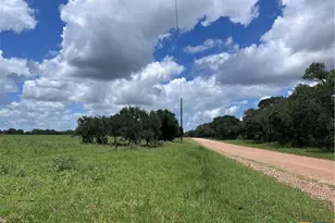 1022 County Rd 438, Yoakum, TX 77995 - Photo 28