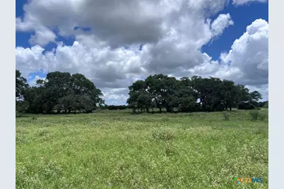 1022 County Road 438, Yoakum, TX 77995 - Photo 8