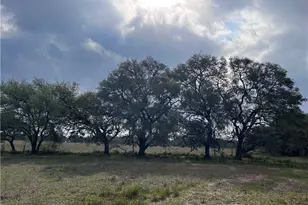 1022 County Rd 438, Yoakum, TX 77995 - Photo 1