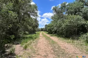 1022 County Rd 438, Yoakum, TX 77995 - Photo 10