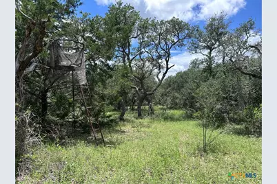 1022 County Road 438, Yoakum, TX 77995 - Photo 24