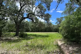 1022 County Rd 438, Yoakum, TX 77995 - Photo 2