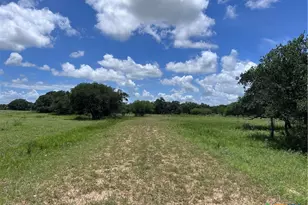 1022 County Rd 438, Yoakum, TX 77995 - Photo 4