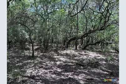 1022 County Road 438, Yoakum, TX 77995 - Photo 12