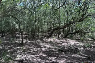 1022 County Rd 438, Yoakum, TX 77995 - Photo 12