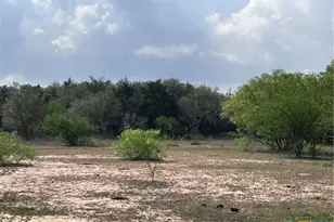 1022 County Rd 438, Yoakum, TX 77995 - Photo 4