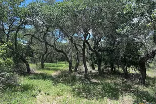 1022 County Rd 438, Yoakum, TX 77995 - Photo 26