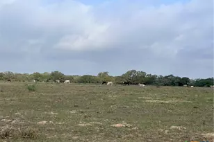 1022 County Rd 438, Yoakum, TX 77995 - Photo 6