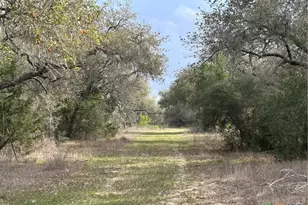 1022 County Rd 438, Yoakum, TX 77995 - Photo 2
