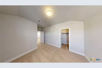 116 Hidden Branch Cove, San Marcos, TX 78657 - Photo 16