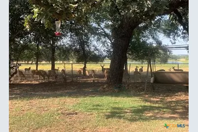 2411 Osage Road, Gatesville, TX 76528 - Photo 28