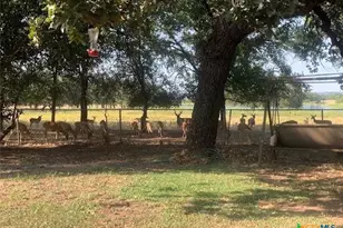 2411 Osage Rd, Gatesville, TX 76528 - Photo 28