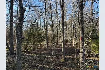 0 Country Club Drive, Seguin, TX 78155 - Photo 18