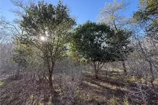 0 Country Club Dr, Seguin, TX 78155 - Photo 16