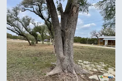 22167 Fm 306, Canyon Lake, TX 78133 - Photo 6