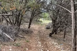 22167 FM306, Canyon Lake, TX 78133 - Photo 14