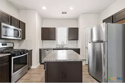 420 Spiny Lizard Lane, San Marcos, TX 78666 - Photo 6