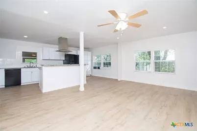 199 Apache Springs Road, Briggs, TX 78608 - Photo 4