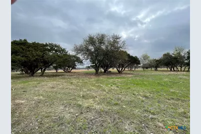 Lot 11 Fm 1690, Gatesville, TX 76528 - Photo 6