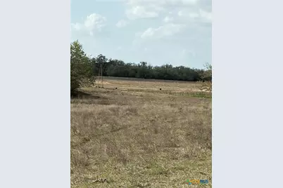 00 Dentler Road, Meyersville, TX 77974 - Photo 12