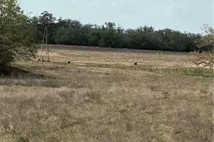 00 Dentler Rd, Meyersville, TX 77974 - Photo 12