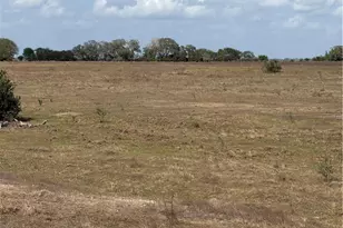 00 Dentler Rd, Meyersville, TX 77974 - Photo 6